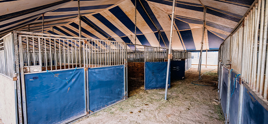 NFR Room and Stall Package